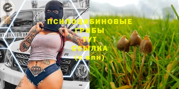 ешки Волосово