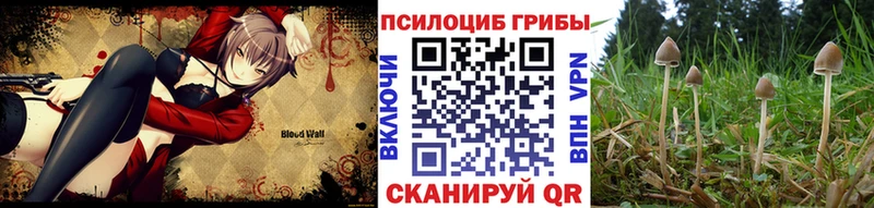 Галлюциногенные грибы прущие грибы  Елизаветинская 